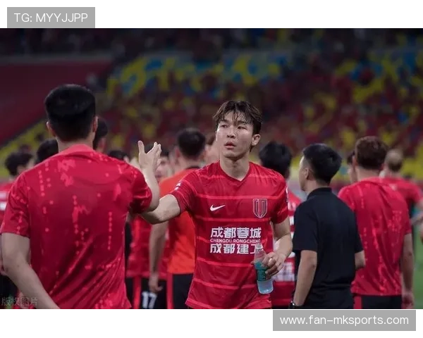 成都蓉城将迎国脚级中卫组合到来